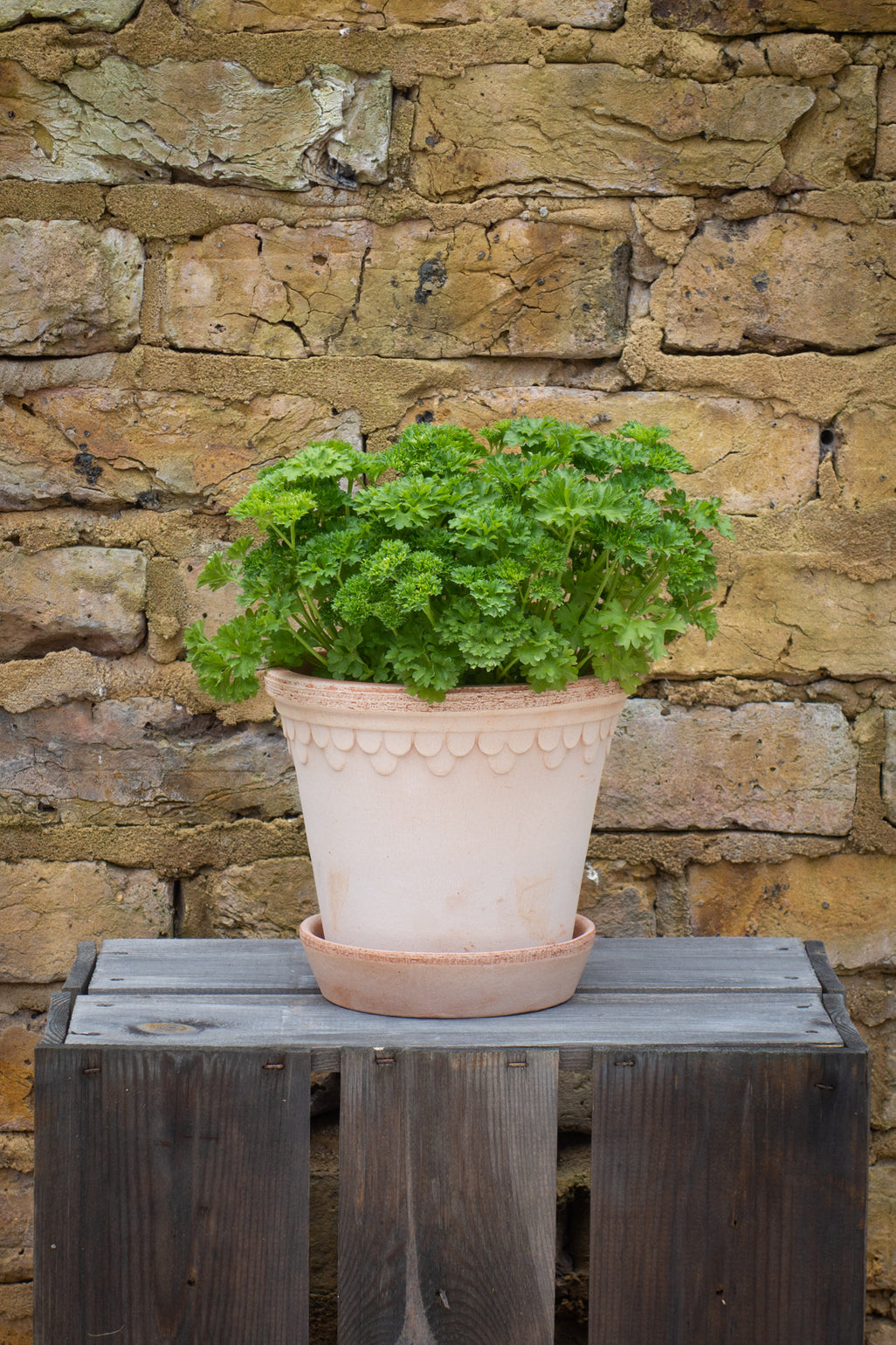 products/SotoProductShootLowQ-2764.jpg